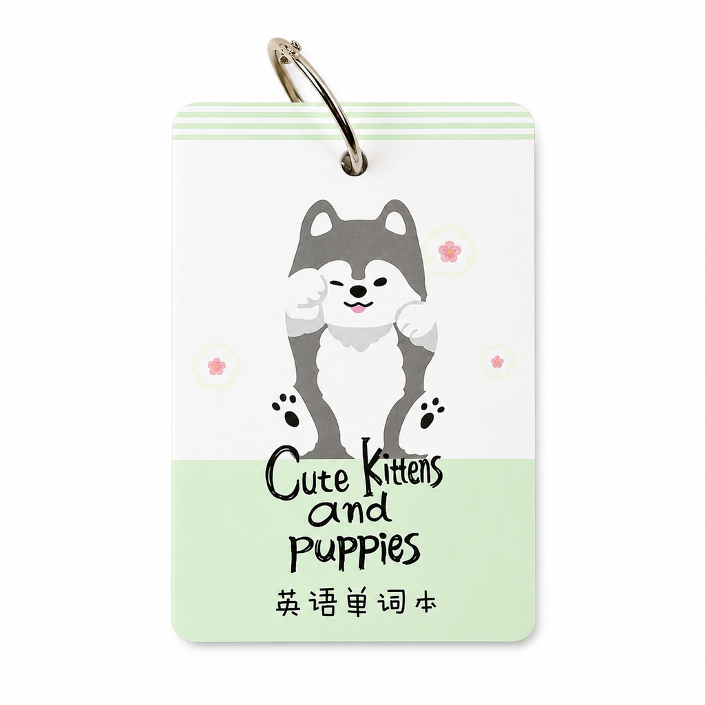 Tarjetas de Vocabulario
