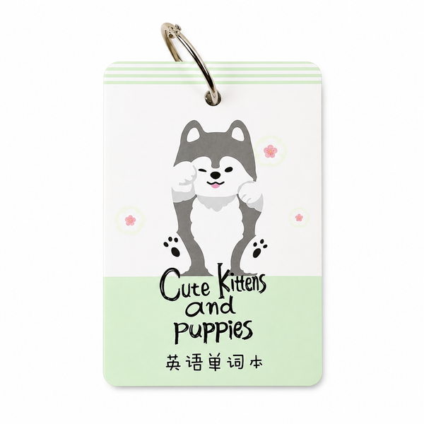 Tarjetas de Vocabulario