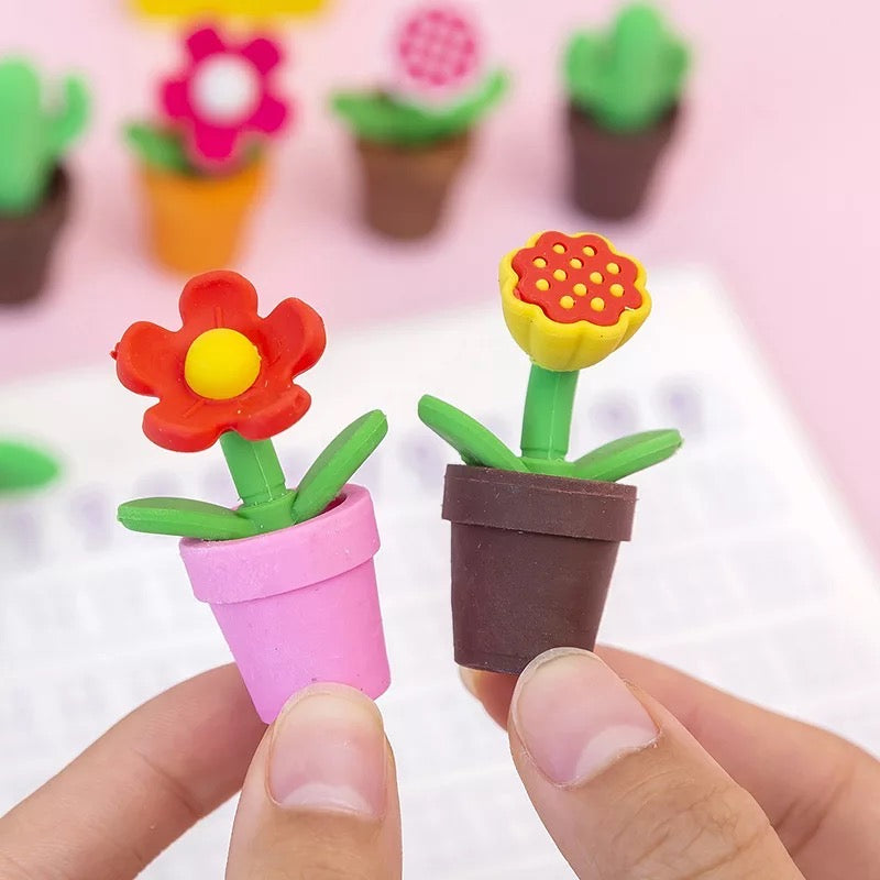 Goma de Borrar Flores y Cactus – Gift Shop Kawaii